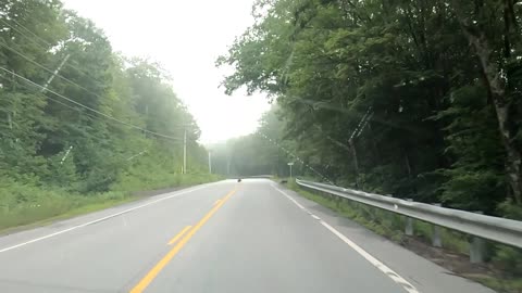 Turkey Crossing