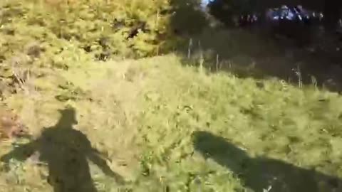 Lose Parkour