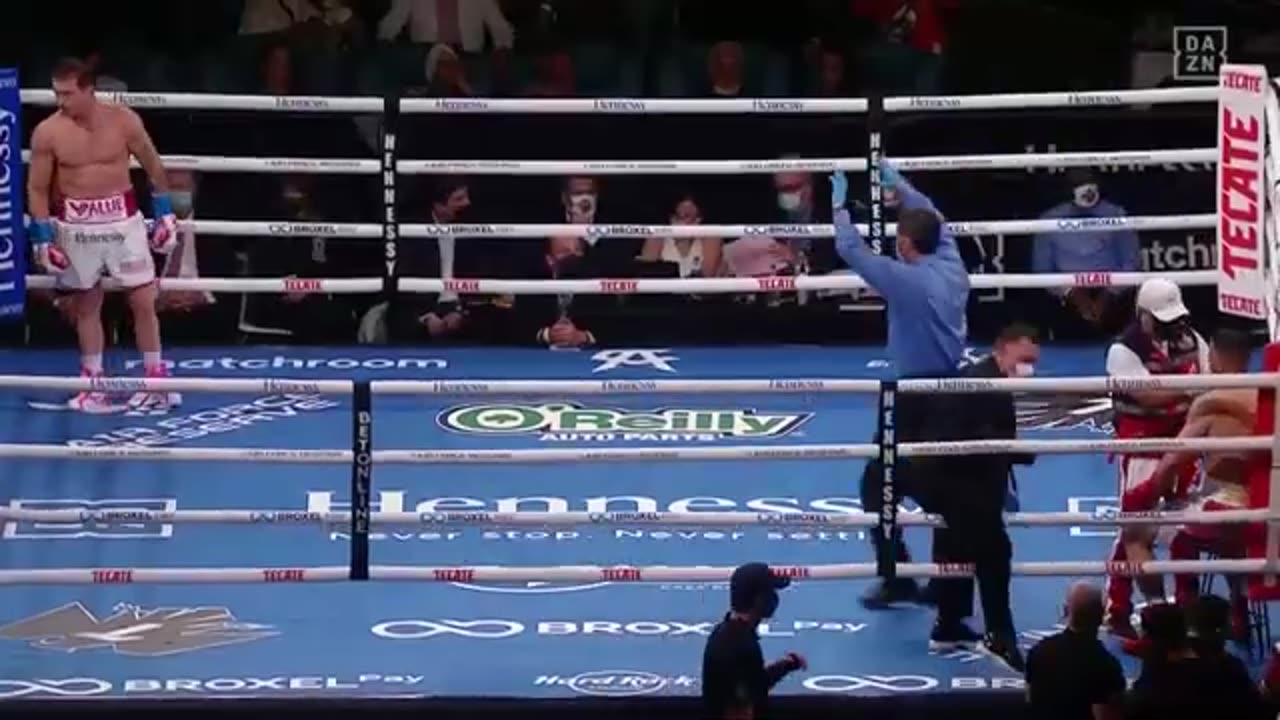 Avni Yıldırım Turkey vs Canelo boxing highlight