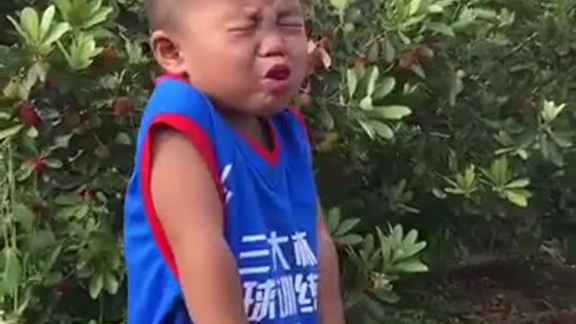 Funny with emotional video