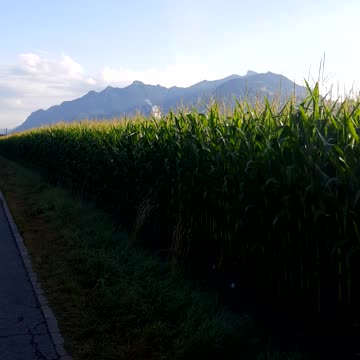Blue sky in Switzerland with nature
