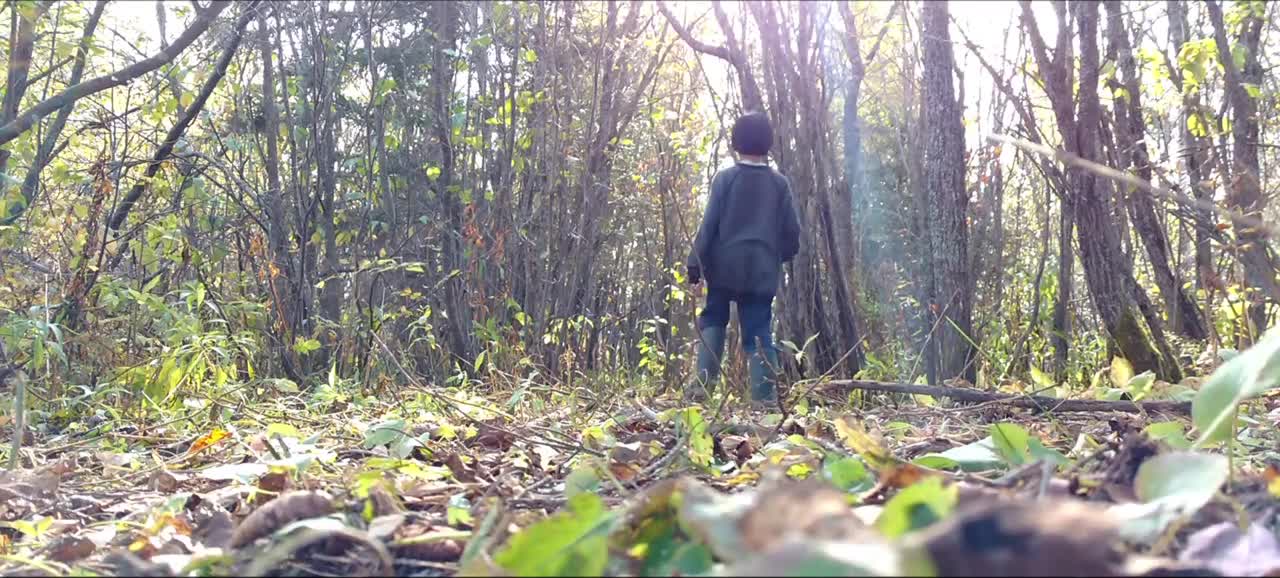 😀🌹🌺🍂Will this short nature film look nice?? A Short Nature Film By: Caleb Berkeley