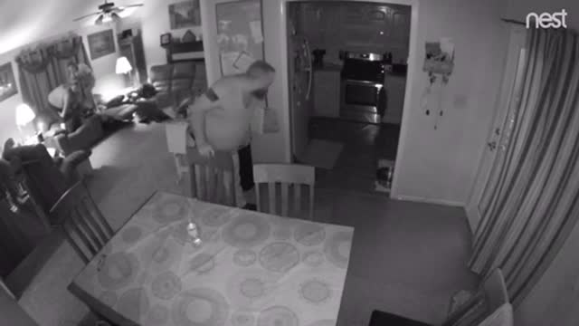 Raccoon Goes Rogue And Runs Inside House