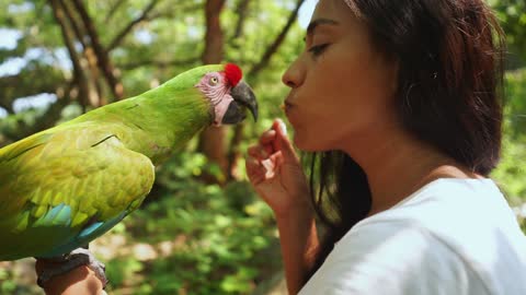 Interesting Parrot Getting Food from Woman's Mouth