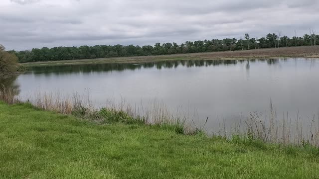 05-18-2021 Peaceful small pond with wildlife sounds