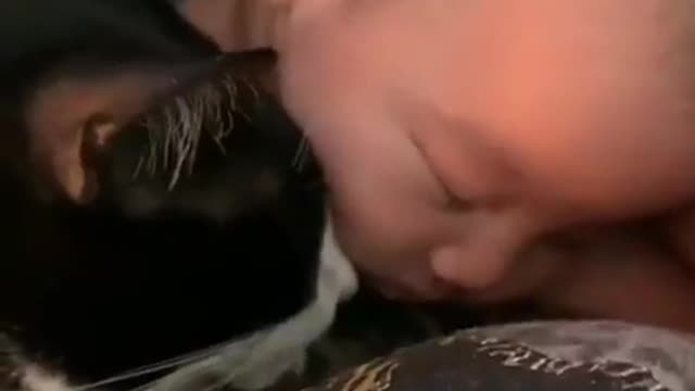 Baby and cat