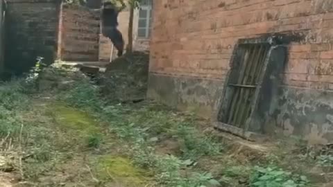 Full Comedy