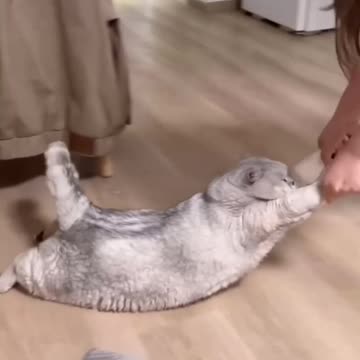 When you lack ambition and motivation 😂