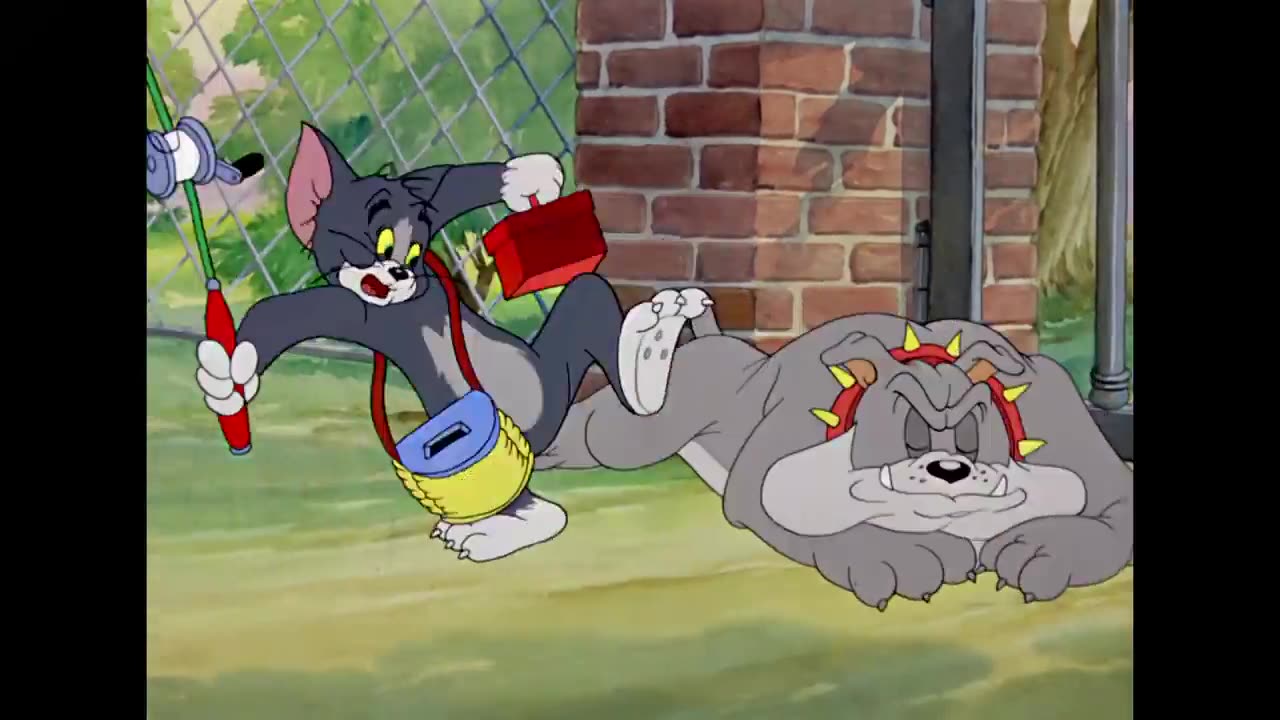 Tom & Jerry Cartoons