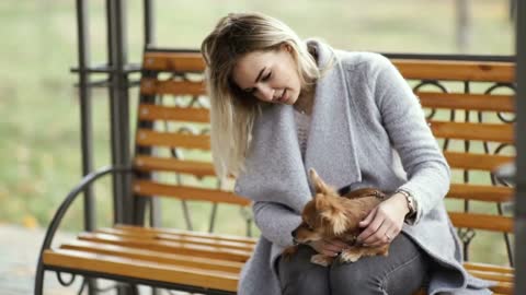 young beautiful Woman in the park with her funny long haired chihuahua dog. Autumn background