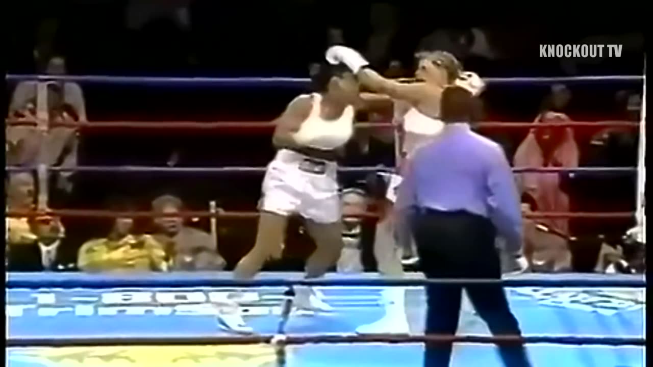 Laila Ali's Best Knockouts! 💥 Witness boxing greatness.