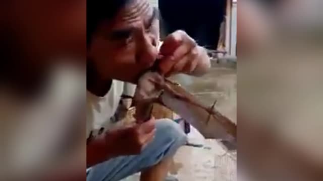 EATING A HOT BAT