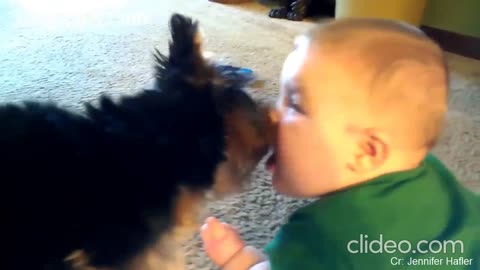 This is what happens when you trust your puppy with your child!! Try not to laugh so hard!!!