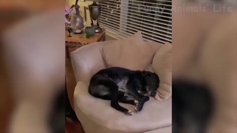 Trying to disturb a sleeping dog