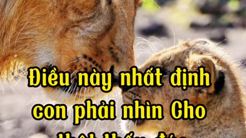 Ý nghĩa cuộc sống