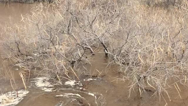 Strange Whirlpools Appear After Storm