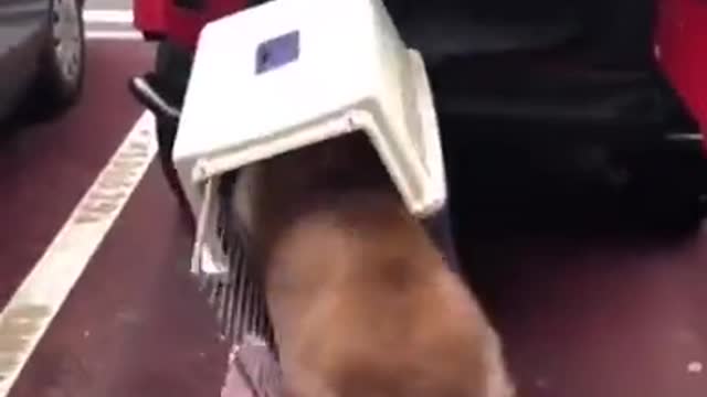 back to your place Funny