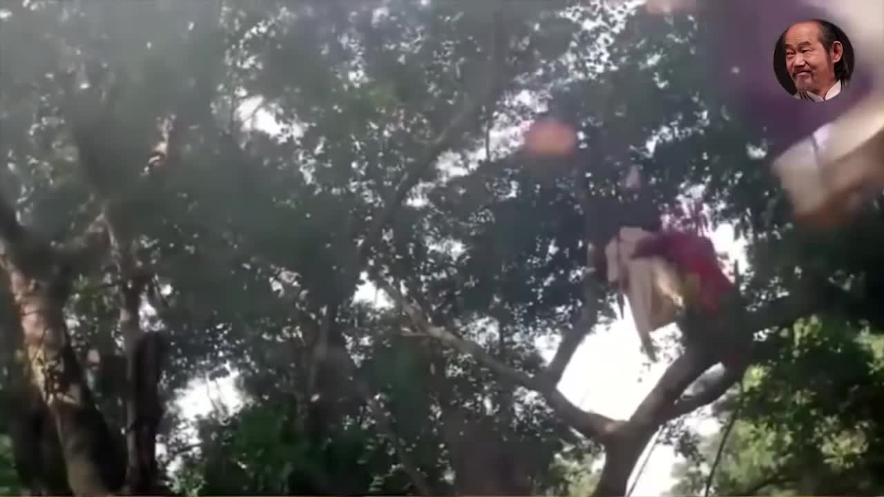 យុទ្ធសិល្ប៍ហង្សនាគ