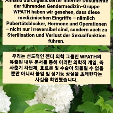 Bills to take away parental rights. California, USA. Germany. France