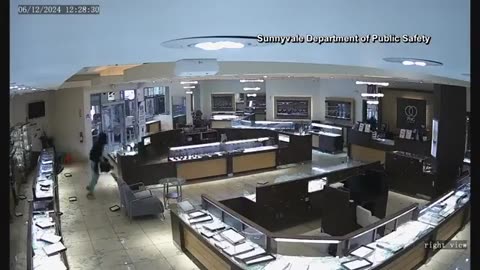 CAUGHT ON CAMERA: Mob of thugs use hammers to rob California jewelry store