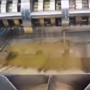 automatic cold press palm kernel