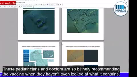 Pfizer vaccine.. what’s in it