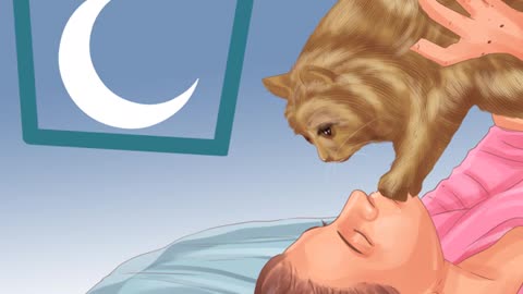 How to Make Your Cat Sleep Next to You