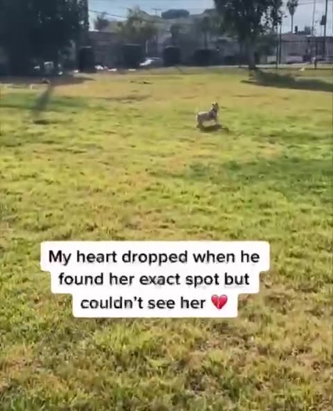 Death Is Not "The End"