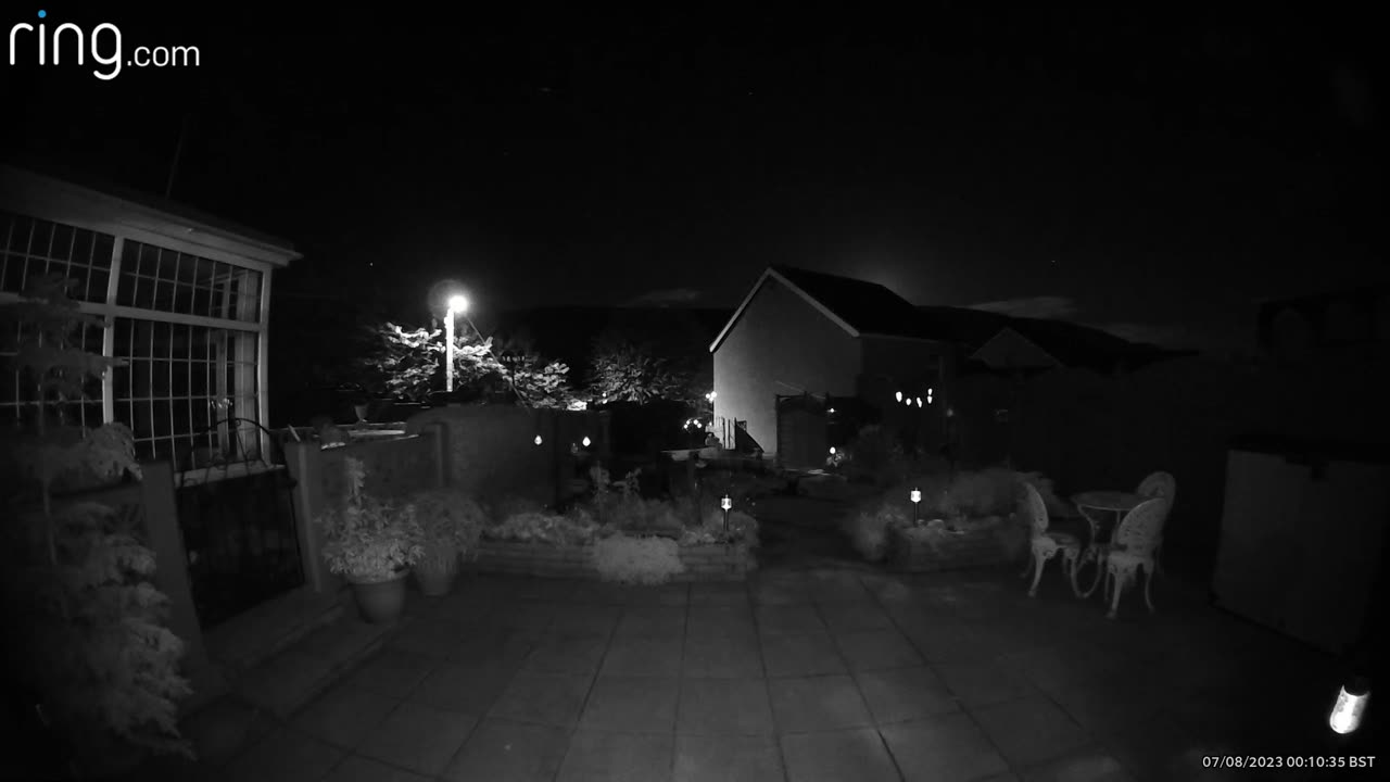 Our dog Eva's spirit rising as she passed.