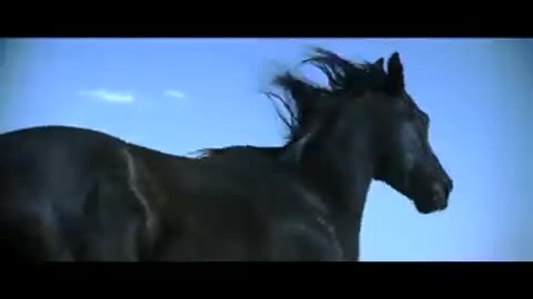 Nike - There's more fast out there - Advert