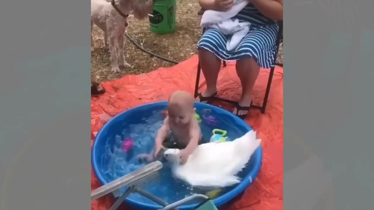 baby playing with animals, best friend,