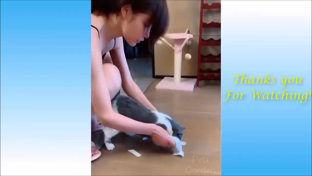 ๐Cute And Funny Pets | Try Not To Laugh To These Pets Compilation #2๐ Cutest Lands