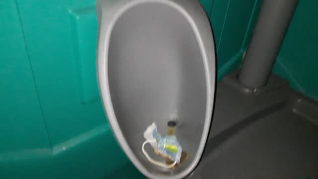 Mask In A Urinal