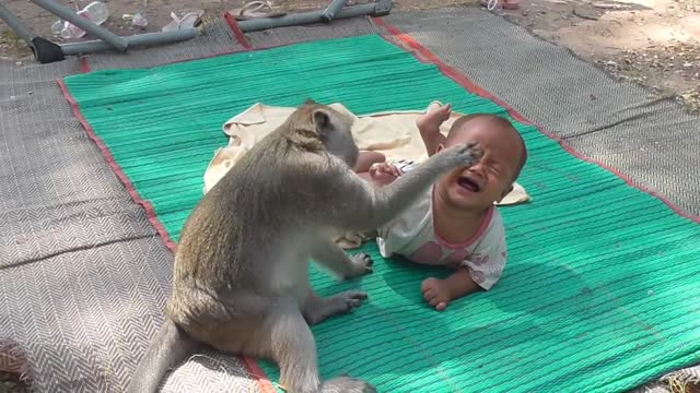 OMG Funny ! Monkey play with Cute baby