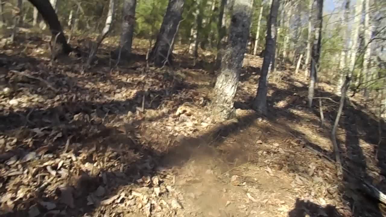 hiking up to section two, the dead pine tree