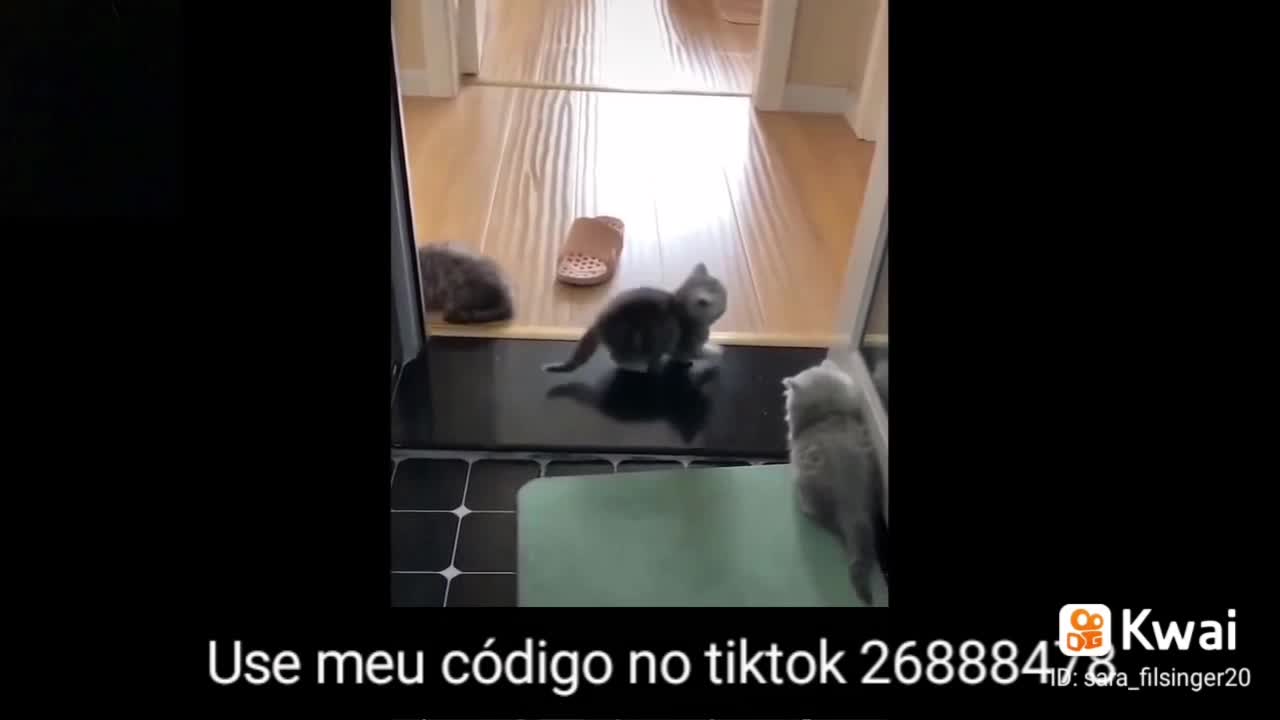 Animal cute 2