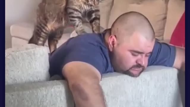 Meow-ssage Therapy