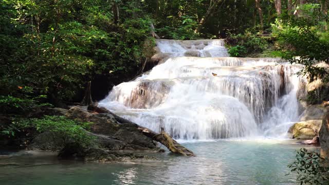 Relaxing Forest Nature Sounds-Soothing Birds Singing-Natural Sound of Water Relaxation