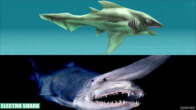 ALL SHARKS IN REAL LIFE - Hungry Shark Evolution