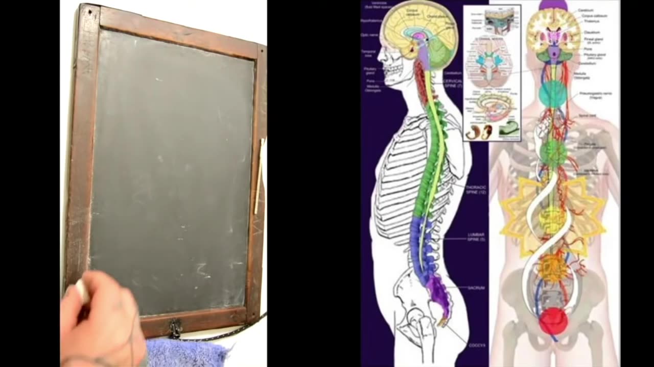 Magnetism is the fundamental building block of Creation