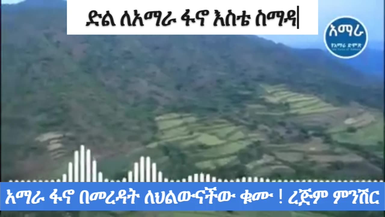 ቃለ ምልልስ ከደቡብ ጎንደር ጉና ክፍለ ጦር እስቴ ዴንሳ ብርጌድ ምክትል አዛዥ