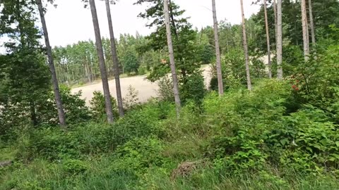 Promenad mellan Yttervalla och Storsjön 4 Aug. 2021