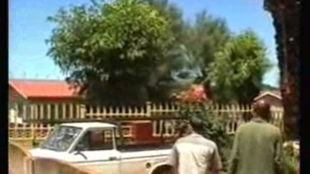 What the guy is doing tree down truck down too