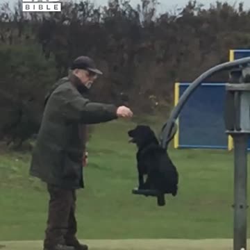 Grandad Pushes Dog On Swing 🥹