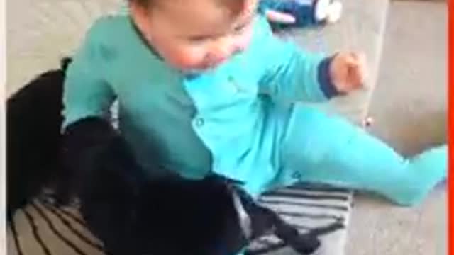 They're so cute the way they're playing together!