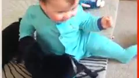 They're so cute the way they're playing together!