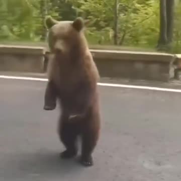 Sometimes I feel Like this!