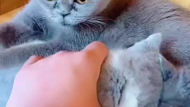 Get a cute baby