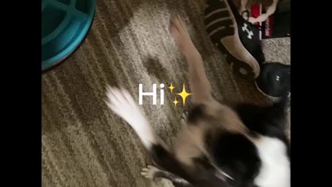Always hungry