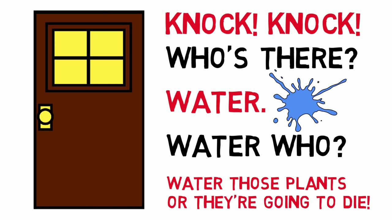 30 KNOCK KNOCK JOKES!